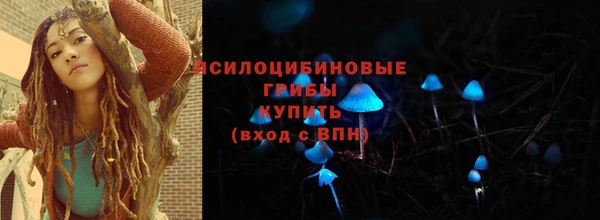 спиды Богородск