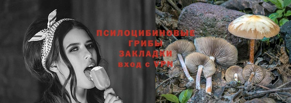 экстази Арсеньев