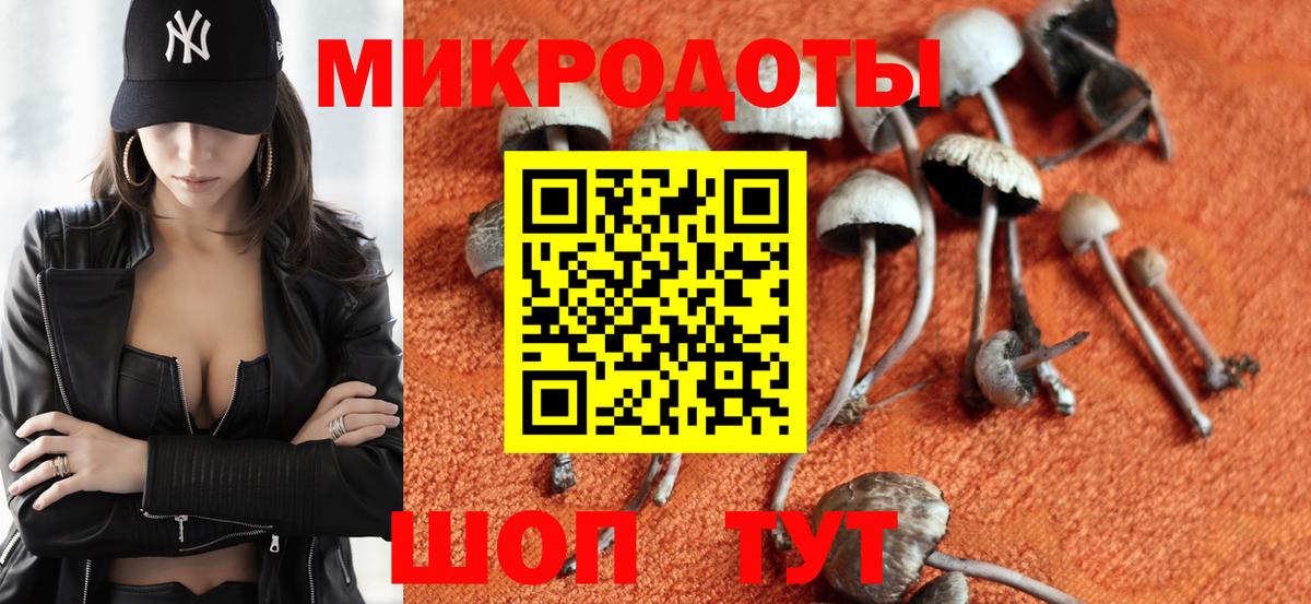 Галлюциногенные грибы MAGIC MUSHROOMS Строитель