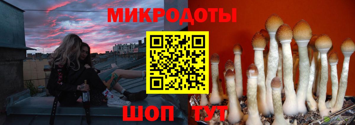 Галлюциногенные грибы Psilocybine cubensis  Галлюциногенные грибы мицелий  Строитель  Вход с VPN 
