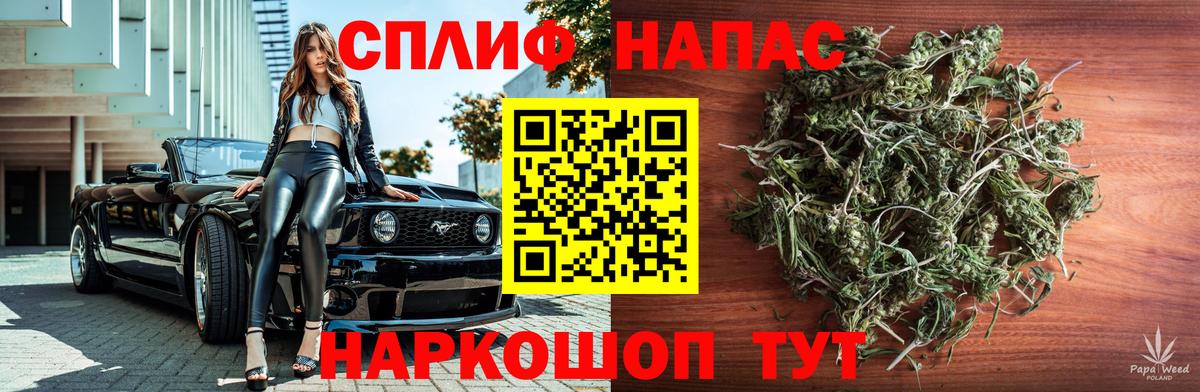 Канабис тримм  Бошки Шишки тримм  Вход с VPN  Канабис AK-47  Шишки марихуана планчик  Строитель 